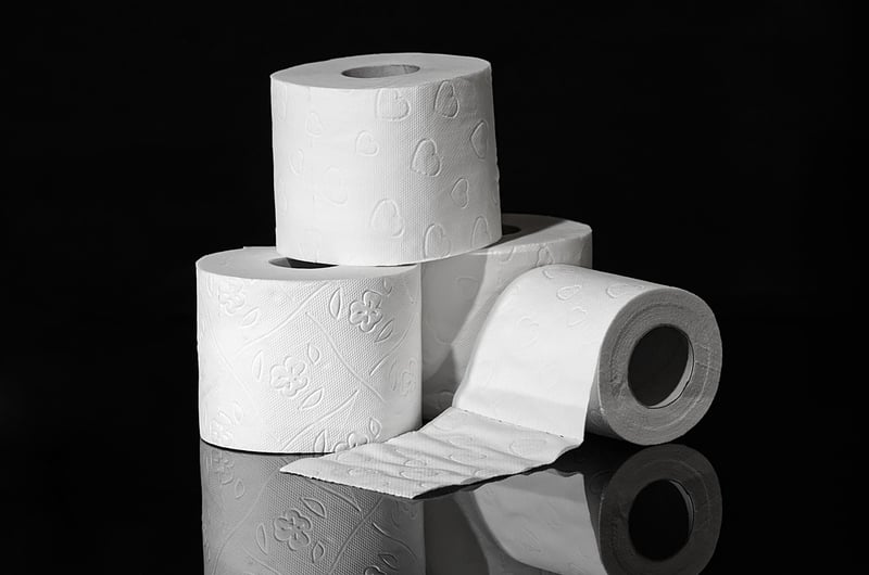 Toilet paper roll binoculars